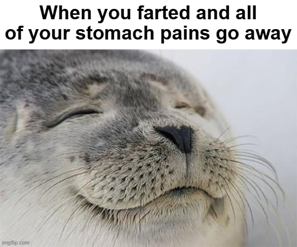 No more pain... Yes... | When you farted and all of your stomach pains go away | image tagged in memes,satisfied seal | made w/ Imgflip meme maker