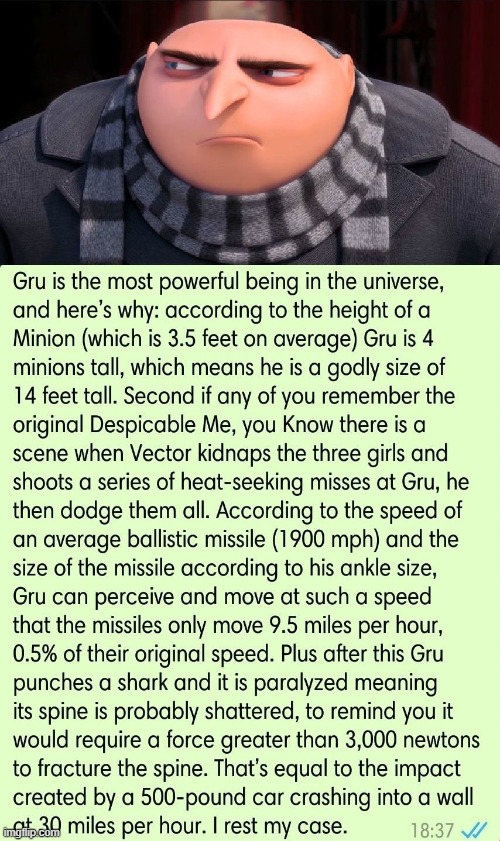 All hail the mighty Gru | image tagged in gru power,haha,funny,meme | made w/ Imgflip meme maker