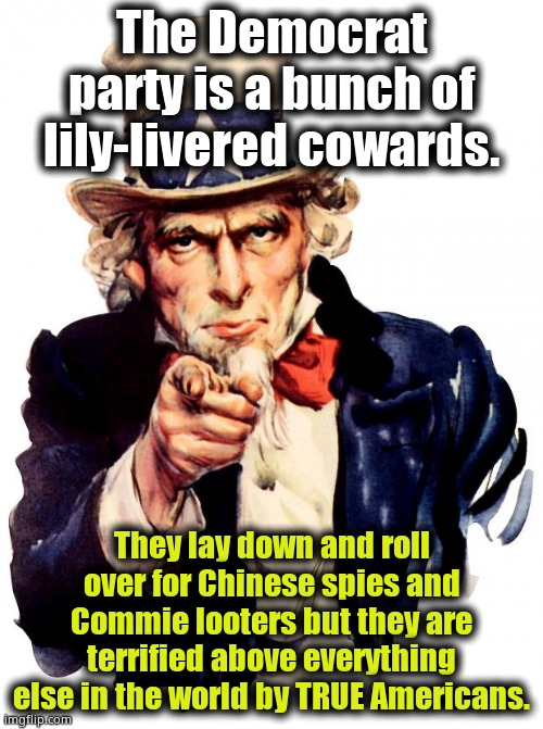 Illegal voters shouldn't vote. The Democrat party IS ANTI-AMERICAN. Don't believe their lies. It's ALL they do. | The Democrat party is a bunch of lily-livered cowards. They lay down and roll over for Chinese spies and Commie looters but they are terrified above everything else in the world by TRUE Americans. | image tagged in memes,uncle sam | made w/ Imgflip meme maker