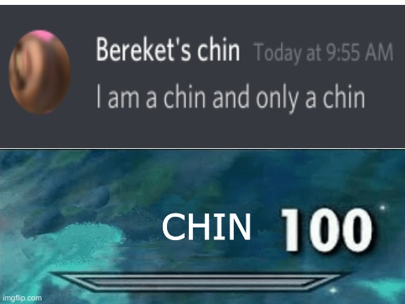CHIN 100 | CHIN | image tagged in skyrim 100 blank | made w/ Imgflip meme maker