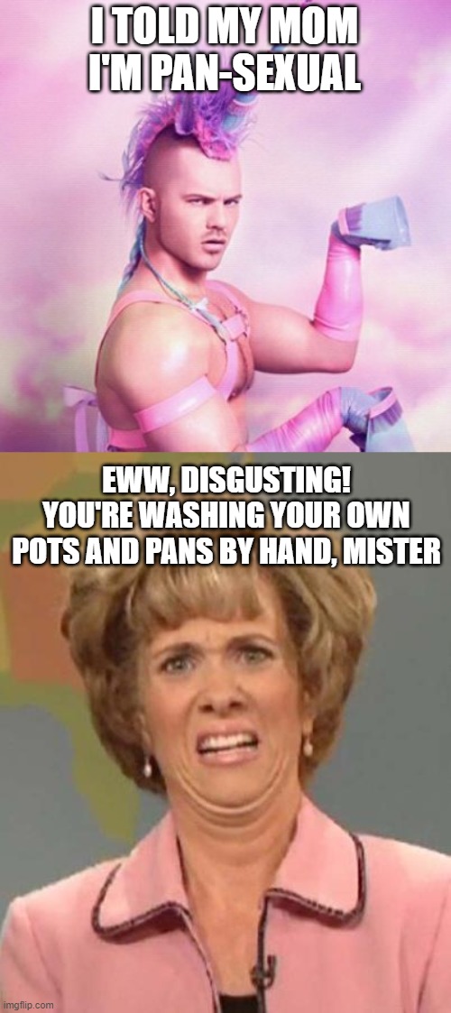 I TOLD MY MOM I'M PAN-SEXUAL; EWW, DISGUSTING! YOU'RE WASHING YOUR OWN POTS AND PANS BY HAND, MISTER | image tagged in memes,unicorn man,disgusted kristin wiig | made w/ Imgflip meme maker