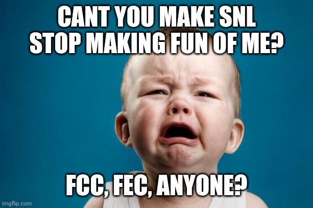 BABY CRYING | CANT YOU MAKE SNL STOP MAKING FUN OF ME? FCC, FEC, ANYONE? | image tagged in baby crying | made w/ Imgflip meme maker