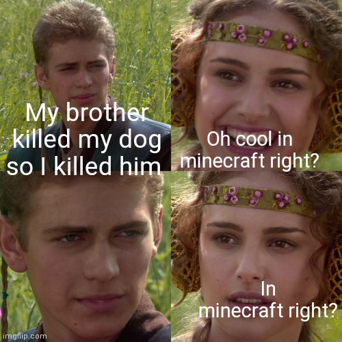 Anakin Padme 4 Panel | My brother killed my dog so I killed him; Oh cool in minecraft right? In minecraft right? | image tagged in anakin padme 4 panel | made w/ Imgflip meme maker