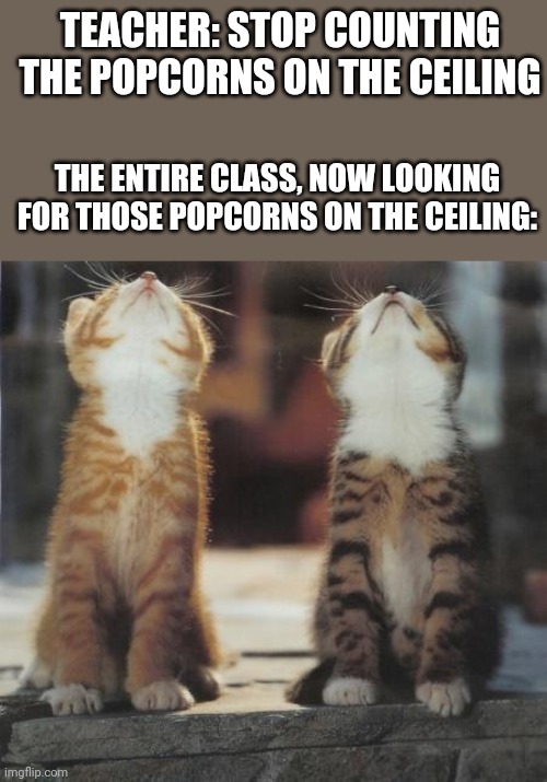 There Were Probably Three People Zoning Out And Then We All Started Looking At The Ceiling | TEACHER: STOP COUNTING THE POPCORNS ON THE CEILING; THE ENTIRE CLASS, NOW LOOKING FOR THOSE POPCORNS ON THE CEILING: | image tagged in cats looking up | made w/ Imgflip meme maker