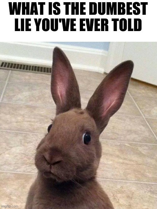 Really? Rabbit | WHAT IS THE DUMBEST LIE YOU'VE EVER TOLD | image tagged in really rabbit | made w/ Imgflip meme maker