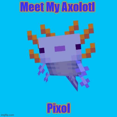 ♥ | Meet My Axolotl; Pixol | image tagged in axolotl,realcdagaming | made w/ Imgflip meme maker