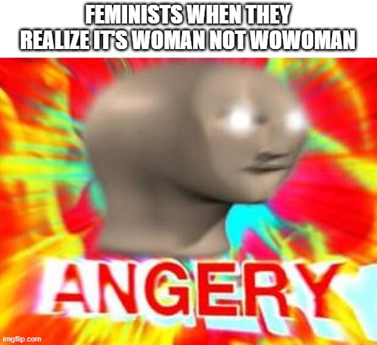 Surreal Angery | FEMINISTS WHEN THEY REALIZE IT'S WOMAN NOT WOWOMAN | image tagged in barney will eat all of your delectable biscuits,oh wow are you actually reading these tags,stop reading the tags,too many tags | made w/ Imgflip meme maker