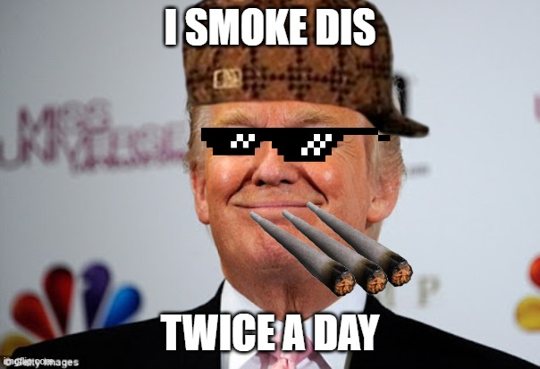 I smoke seven days a week | I SMOKE DIS; TWICE A DAY | image tagged in donald trump approves | made w/ Imgflip meme maker