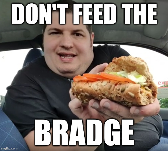 DON'T FEED THE; BRADGE | made w/ Imgflip meme maker