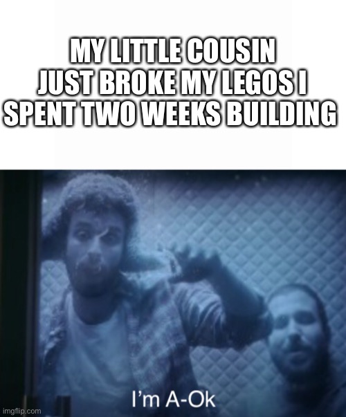 I hate it so much | MY LITTLE COUSIN JUST BROKE MY LEGOS I SPENT TWO WEEKS BUILDING | image tagged in i m a-ok | made w/ Imgflip meme maker
