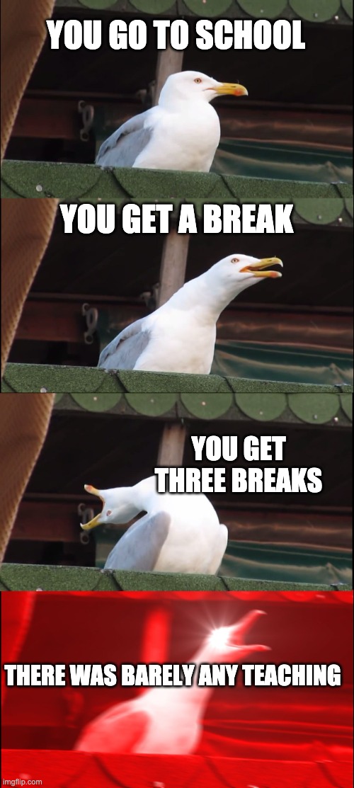it happened to me | YOU GO TO SCHOOL; YOU GET A BREAK; YOU GET THREE BREAKS; THERE WAS BARELY ANY TEACHING | image tagged in memes,inhaling seagull | made w/ Imgflip meme maker