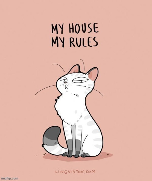 A Cat's Way Of Thinking | image tagged in memes,comics,cats,my,house,rules | made w/ Imgflip meme maker