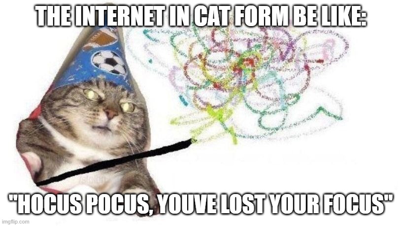 Wizard Cat | THE INTERNET IN CAT FORM BE LIKE:; "HOCUS POCUS, YOUVE LOST YOUR FOCUS" | image tagged in wizard cat | made w/ Imgflip meme maker