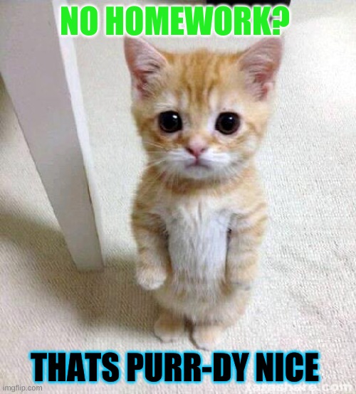 Cute Cat Meme | NO HOMEWORK? THATS PURR-DY NICE | image tagged in memes,cute cat | made w/ Imgflip meme maker