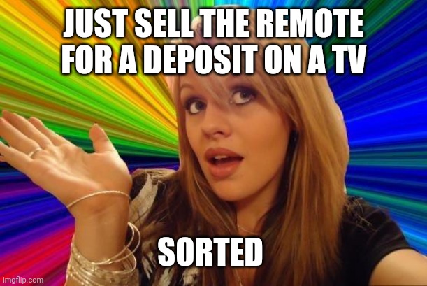 Dumb Blonde Meme | JUST SELL THE REMOTE FOR A DEPOSIT ON A TV SORTED | image tagged in memes,dumb blonde | made w/ Imgflip meme maker