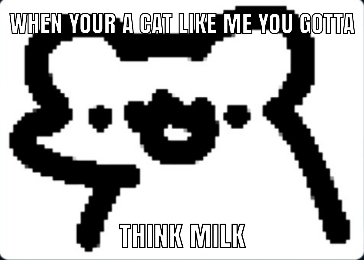 When your a cat Blank Meme Template