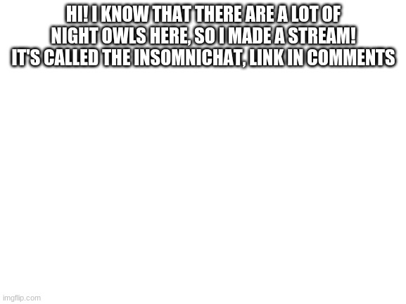 Blank White Template | HI! I KNOW THAT THERE ARE A LOT OF NIGHT OWLS HERE, SO I MADE A STREAM! IT'S CALLED THE INSOMNICHAT, LINK IN COMMENTS | image tagged in blank white template | made w/ Imgflip meme maker