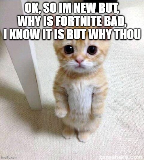 why is fortnite bad tell me reason | OK, SO IM NEW BUT, WHY IS FORTNITE BAD, I KNOW IT IS BUT WHY THOU | image tagged in memes,cute cat | made w/ Imgflip meme maker