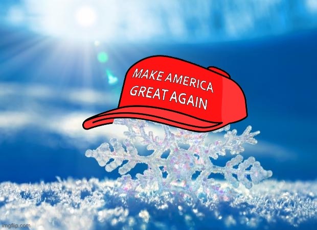 MAGA snowflake | image tagged in maga snowflake | made w/ Imgflip meme maker