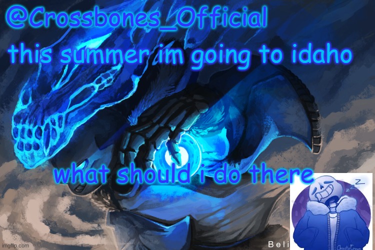 also im unhorny | this summer im going to idaho; what should i do there | image tagged in crossbones_official sanspai temp | made w/ Imgflip meme maker