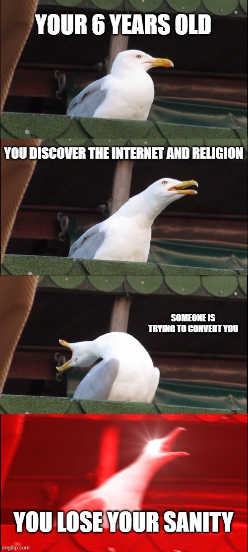 idk | YOUR 6 YEARS OLD; YOU DISCOVER THE INTERNET AND RELIGION; SOMEONE IS TRYING TO CONVERT YOU; YOU LOSE YOUR SANITY | image tagged in memes,inhaling seagull | made w/ Imgflip meme maker
