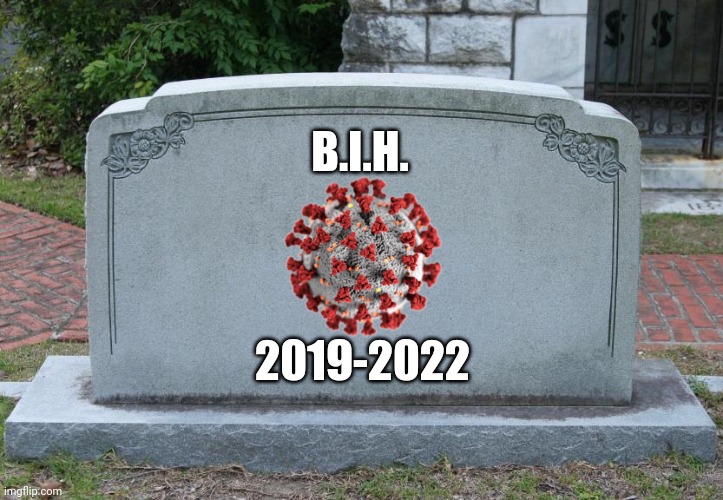 Coming Soon... | B.I.H. 2019-2022 | image tagged in gravestone,burn in hell,coronavirus,covid-19,2022,memes | made w/ Imgflip meme maker