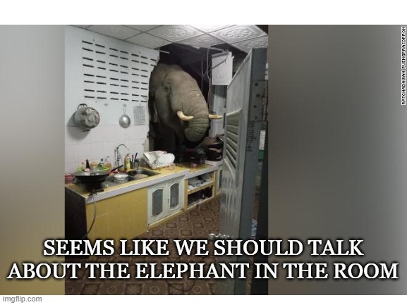 This really happened in Thailand | SEEMS LIKE WE SHOULD TALK ABOUT THE ELEPHANT IN THE ROOM | image tagged in elephant in the room,elephant,kitchen,yikes,funny memes | made w/ Imgflip meme maker