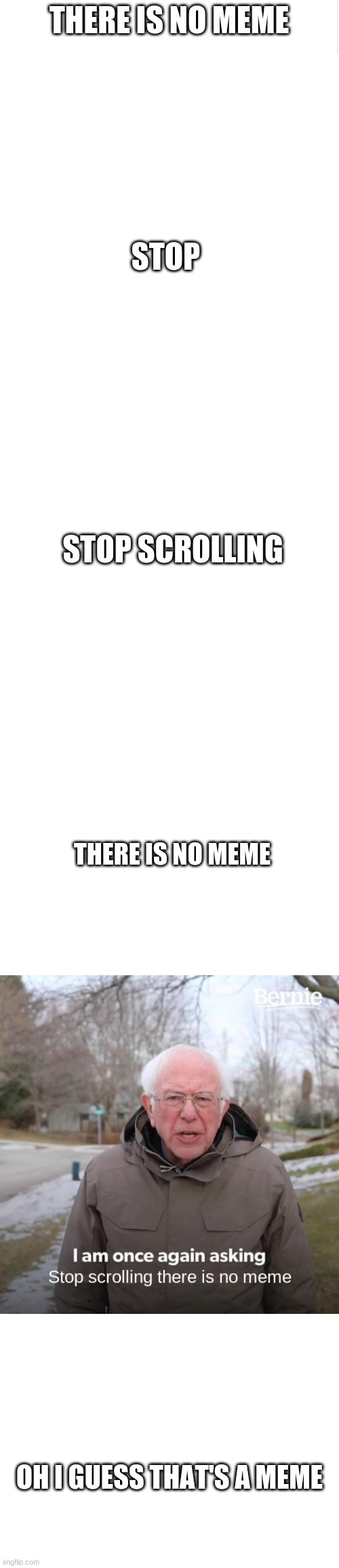 What |  THERE IS NO MEME; STOP; STOP SCROLLING; THERE IS NO MEME; OH I GUESS THAT'S A MEME | image tagged in blank meme template | made w/ Imgflip meme maker
