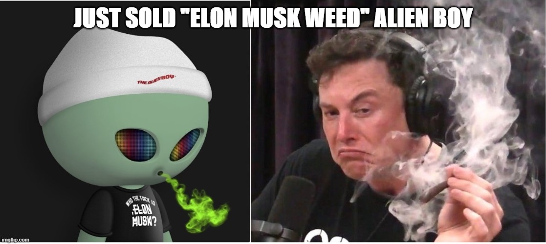 Elon Musk Weed Alien Boy NFT | JUST SOLD "ELON MUSK WEED" ALIEN BOY | image tagged in elon musk weed,alien boy,aliens,nft,crypto | made w/ Imgflip meme maker