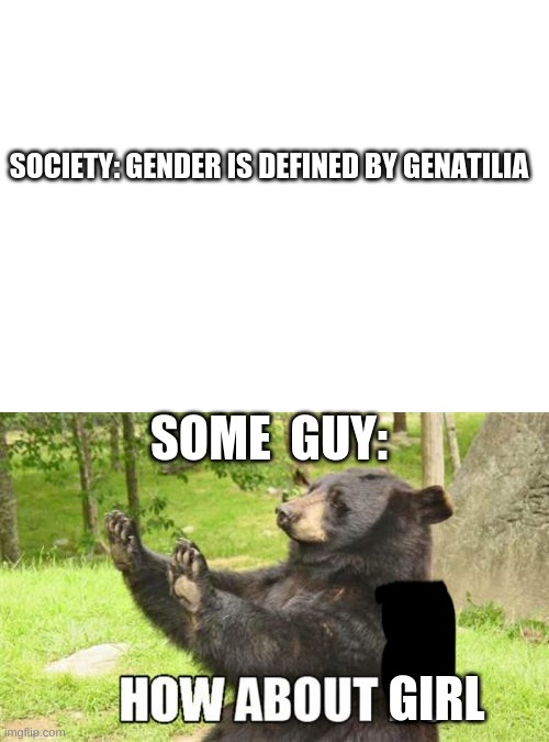 trans girls in a nutshell | SOCIETY: GENDER IS DEFINED BY GENATILIA; SOME  GUY:; GIRL | image tagged in blank white template,memes,how about no bear,transgender | made w/ Imgflip meme maker