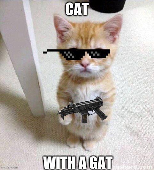 Cute Cat | CAT; WITH A GAT | image tagged in memes,cute cat | made w/ Imgflip meme maker