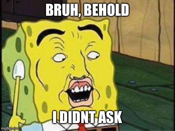 sponge bob bruh | BRUH, BEHOLD I DIDNT ASK | image tagged in sponge bob bruh | made w/ Imgflip meme maker