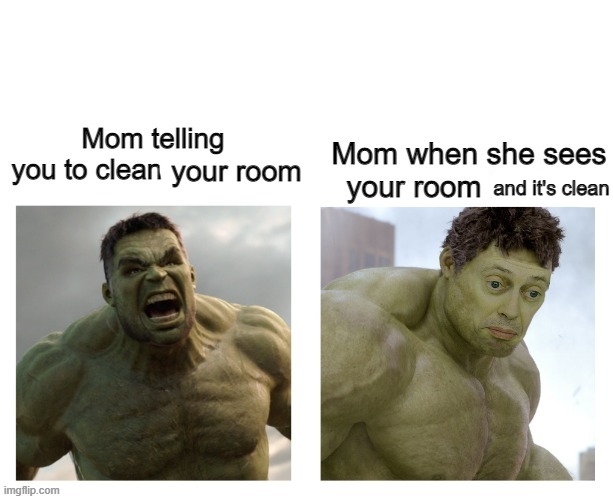 Then mom tells you to clean the house since you do such a good job at cleaning: (There was a typo so I had to change it) | your room; and it's clean | image tagged in memes,funny,fun,oh wow are you actually reading these tags,i've won but at what cost | made w/ Imgflip meme maker
