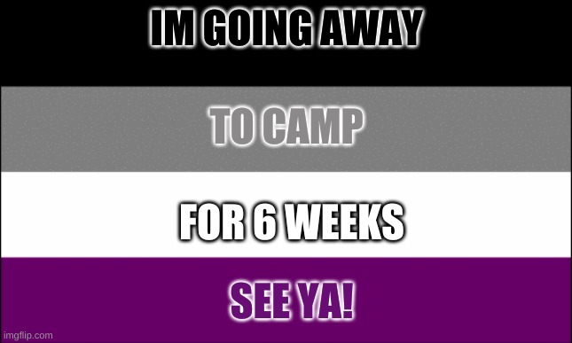 ill miss you all | IM GOING AWAY; TO CAMP; FOR 6 WEEKS; SEE YA! | image tagged in ace flag | made w/ Imgflip meme maker