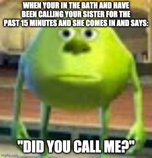 Sully Wazowski | WHEN YOUR IN THE BATH AND HAVE BEEN CALLING YOUR SISTER FOR THE PAST 15 MINUTES AND SHE COMES IN AND SAYS:; "DID YOU CALL ME?" | image tagged in sully wazowski | made w/ Imgflip meme maker
