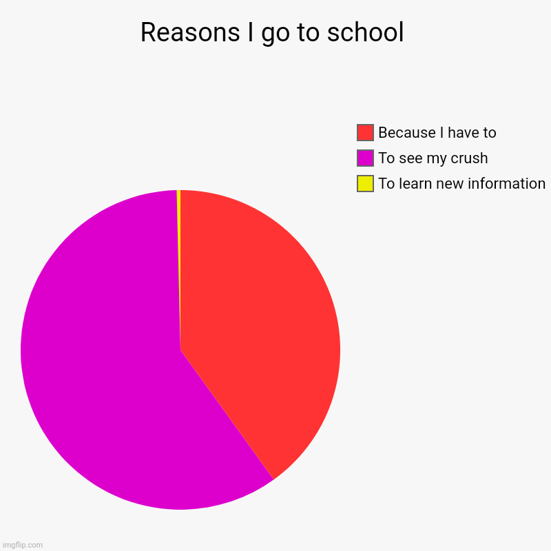 Reasons I go to school | To learn new information, To see my crush, Because I have to | image tagged in charts,pie charts | made w/ Imgflip chart maker