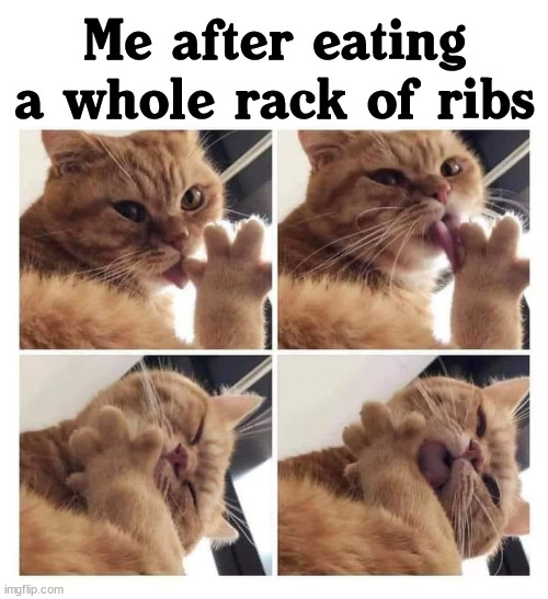 Me after eating a whole rack of ribs | made w/ Imgflip meme maker