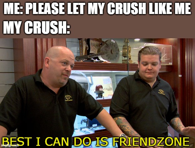 Never been friendzoned so idk | ME: PLEASE LET MY CRUSH LIKE ME; MY CRUSH:; BEST I CAN DO IS FRIENDZONE | image tagged in pawn stars best i can do,memes,friendzone,school memes,crush | made w/ Imgflip meme maker