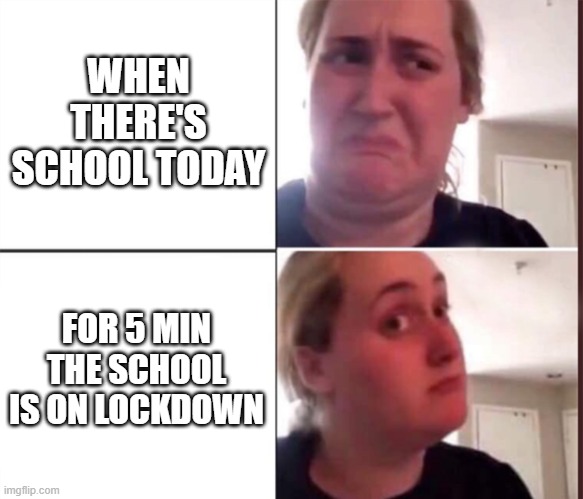 give it a like if you like it | WHEN THERE'S SCHOOL TODAY; FOR 5 MIN THE SCHOOL IS ON LOCKDOWN | image tagged in kombucha girl | made w/ Imgflip meme maker
