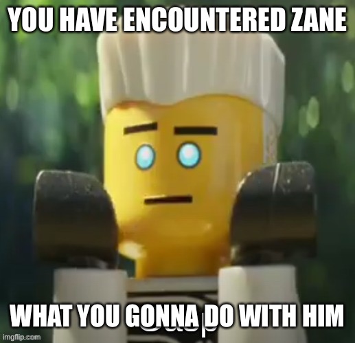 Zane gasp | YOU HAVE ENCOUNTERED ZANE; WHAT YOU GONNA DO WITH HIM | image tagged in zane gasp | made w/ Imgflip meme maker