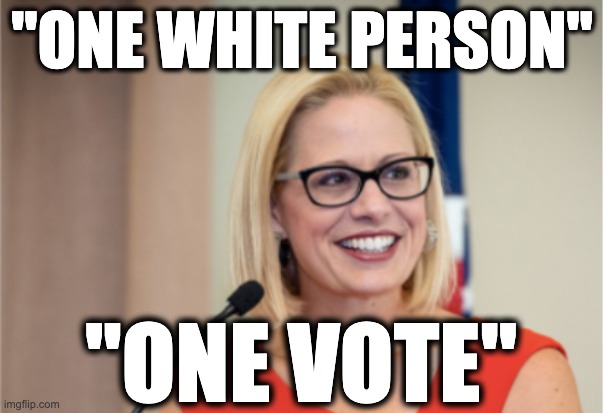 "ONE WHITE PERSON"; "ONE VOTE" | image tagged in memes,voting rights,for the people act,racism,kyrsten sinema,arizona | made w/ Imgflip meme maker