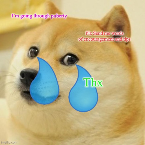 Doge | I’m going through puberty; Plz Send me words of encouragement and tips; Thx | image tagged in memes,doge | made w/ Imgflip meme maker