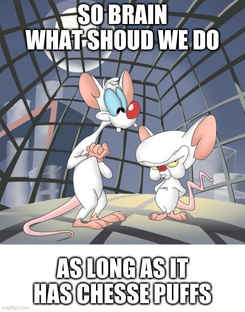 Pinky and the brain | SO BRAIN WHAT SHOUD WE DO; AS LONG AS IT HAS CHESSE PUFFS | image tagged in pinky and the brain | made w/ Imgflip meme maker