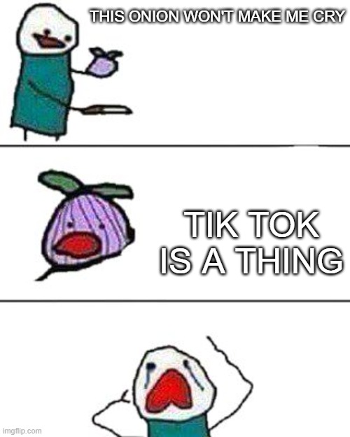 why does it exist | THIS ONION WON'T MAKE ME CRY; TIK TOK IS A THING | image tagged in this onion won't make me cry | made w/ Imgflip meme maker