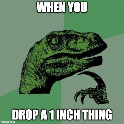 Philosoraptor | WHEN YOU; DROP A 1 INCH THING | image tagged in memes,philosoraptor | made w/ Imgflip meme maker