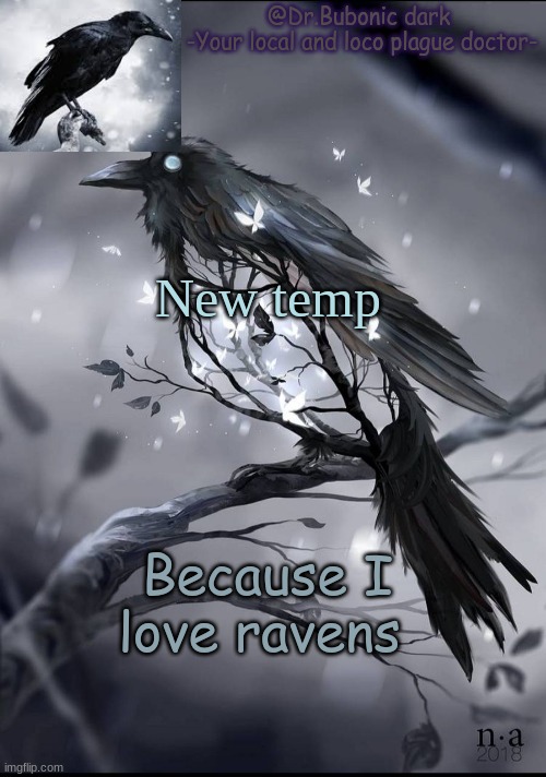 Another raven temp | New temp; Because I love ravens | image tagged in another raven temp | made w/ Imgflip meme maker
