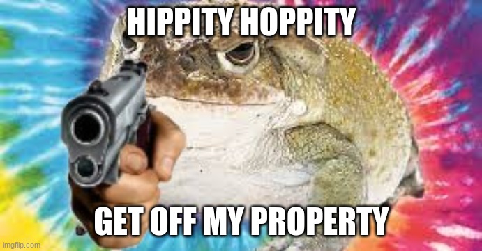 frog but gun | HIPPITY HOPPITY; GET OFF MY PROPERTY | image tagged in frog | made w/ Imgflip meme maker