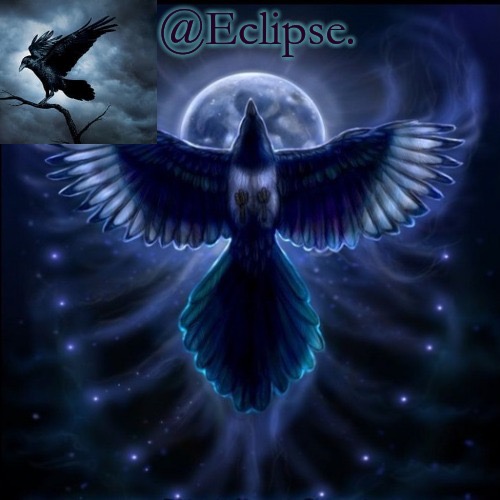 Eclipse. raven temp (thanks bubonic) Blank Meme Template