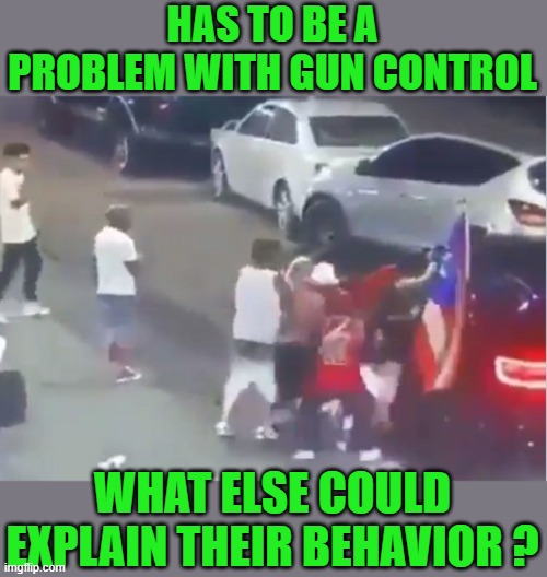 yep | HAS TO BE A PROBLEM WITH GUN CONTROL; WHAT ELSE COULD EXPLAIN THEIR BEHAVIOR ? | image tagged in democrats,gun control,fascism | made w/ Imgflip meme maker