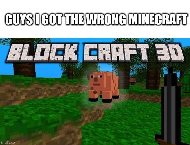 IM A DUMB PERSON LOL | GUYS I GOT THE WRONG MINECRAFT | image tagged in epic orange edited this meme,haha | made w/ Imgflip meme maker